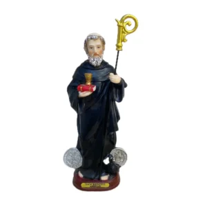 San Benito  20cm