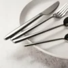 SM135-5 Cubiertos acero inoxidable 24pc Premium